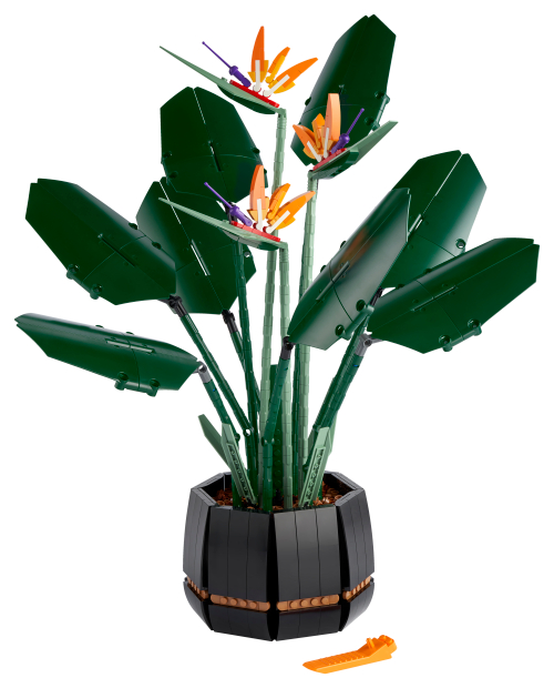 LEGO® Bird of Paradise